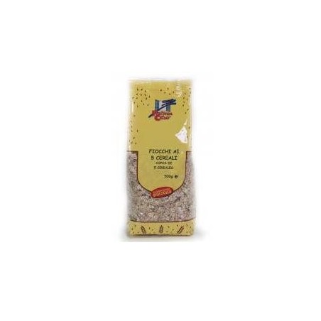 Fiocchi 5 Cereali Bio 500g