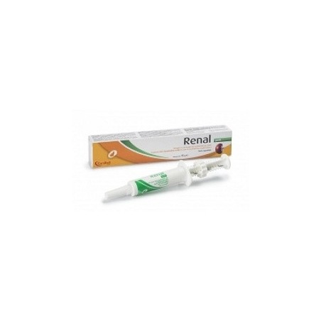 Renal Gatti Pasta 15ml