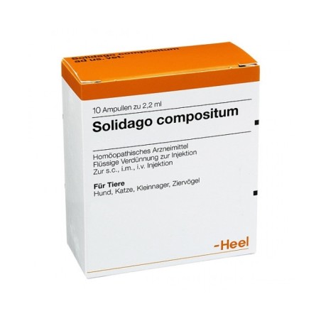 Guna Solidago Compositum 10 Fiale Heel