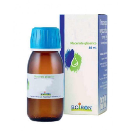 Boiron Vaccinium Vitis Idaea Macerato Glicerico 60ml