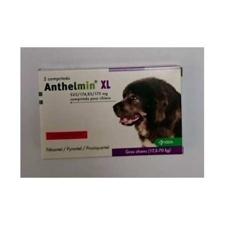 Anthelmin Plus Xl* 2 Compresse