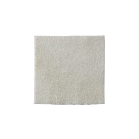 Biatain Alginate Ag 10x10 Cm 10 Pezzi