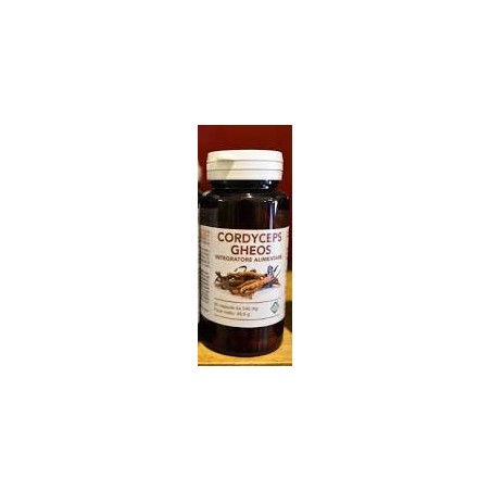 Cordyceps Gheos 90 Capsule