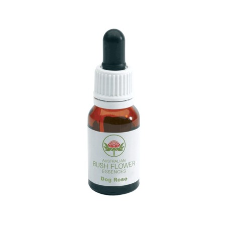 Dog Rose Australian 15ml