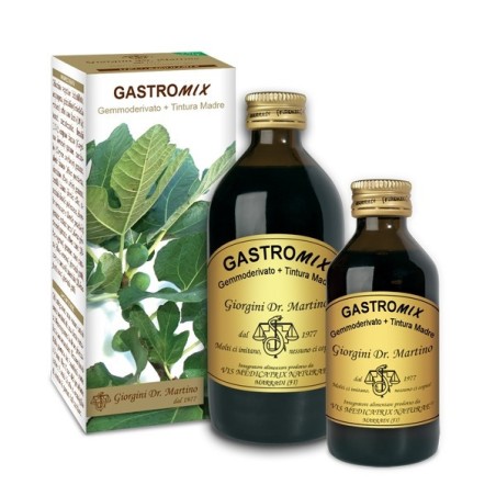 Gastromix Liquido Analcolico 200ml