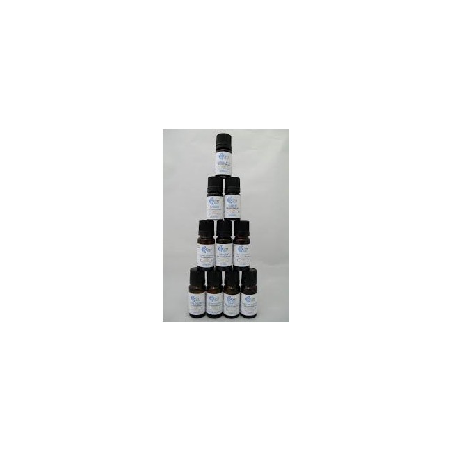 Gaulteria Olio Essenziale 10ml