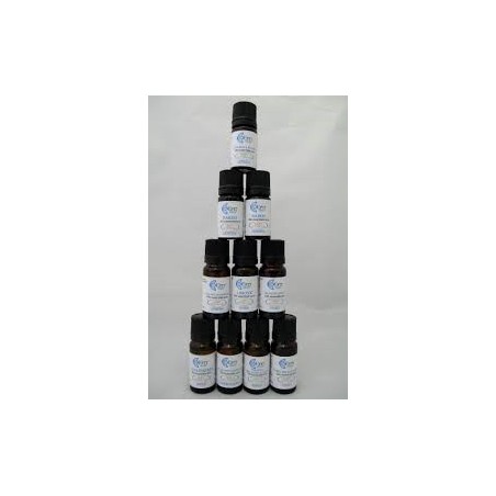 Gaulteria Olio Essenziale 10ml