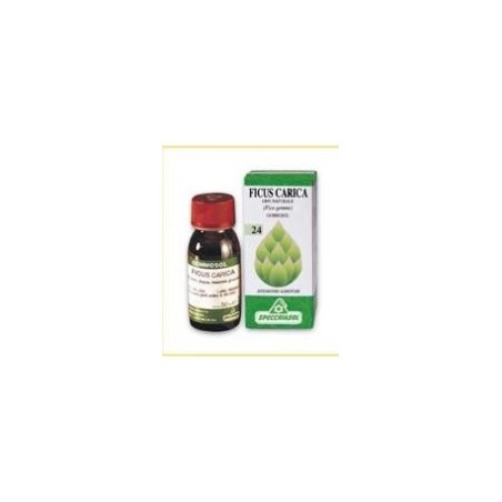 Gemmosol 24 Fico 50ml