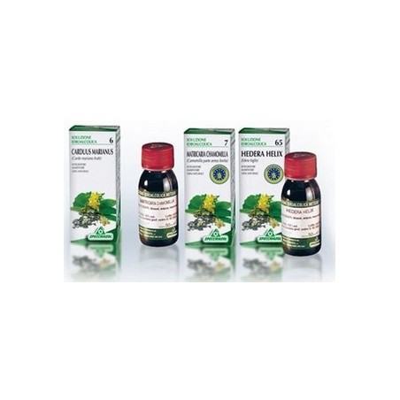 Ginseng 49 50ml Tintura Madre