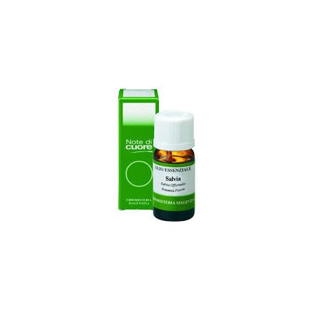 Salvia Officinalis Olio Essenziale 10ml