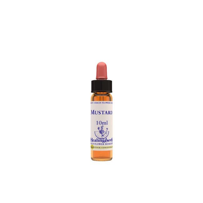 Natur Mustard Essenza 10ml