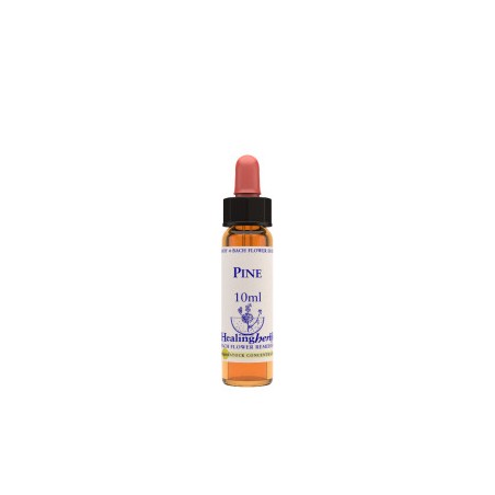 Natur Pine Essenza 10ml