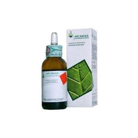 Ribes Nigrum 50ml Circolatum