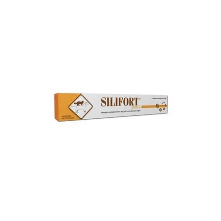 Silifort Pasta Orale Siringa 15g