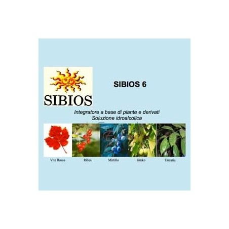 Sibios 06 Gocce 50ml