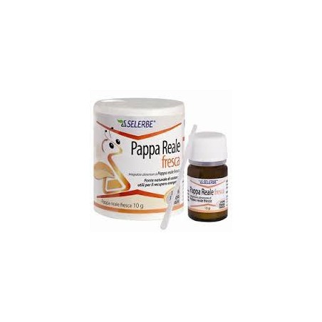 Selerbe Pappa Reale Fresca 10g