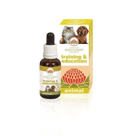 Australian Bush Flower Essences Training & Education 30ml