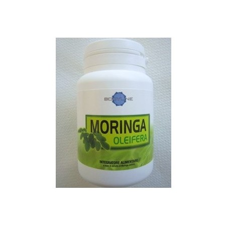 Moringa Oleifera 60 Capsule