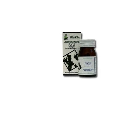 Arcangea Fucus 60 Capsule 500mg