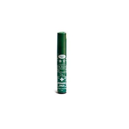 Santiveri Ainsworths Recov Plus Spray 21ml