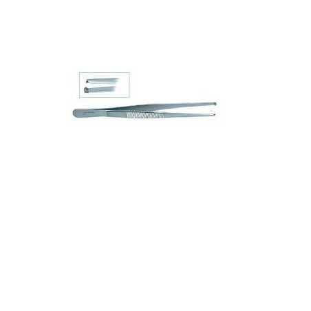 Pinza Chirurrigica Dente Topo 14cm