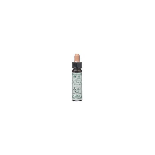 Santiveri Ainsworths Chestnut Bud 10ml