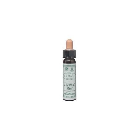 Santiveri Ainsworths Chestnut Bud 10ml