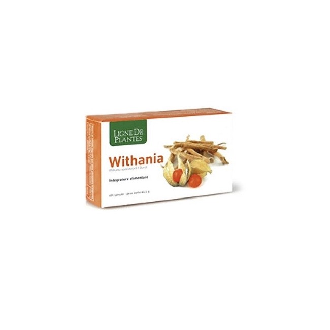 Natura Service Withania 60 Capsule