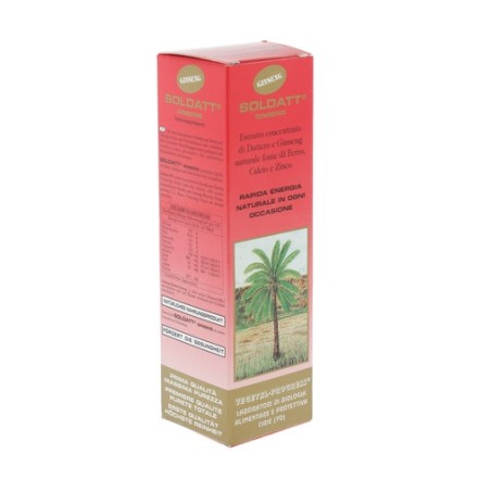 Vegetal Progress Soldatt Ginseng 100ml