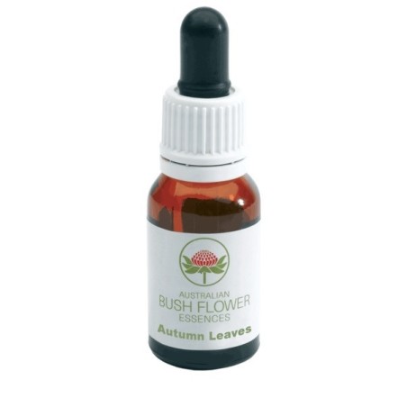 Green Remedies Autumn Leaves Gocce 15ml