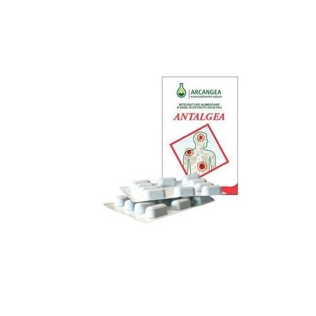 Antalgea 40 Capsule 6 Pezzi