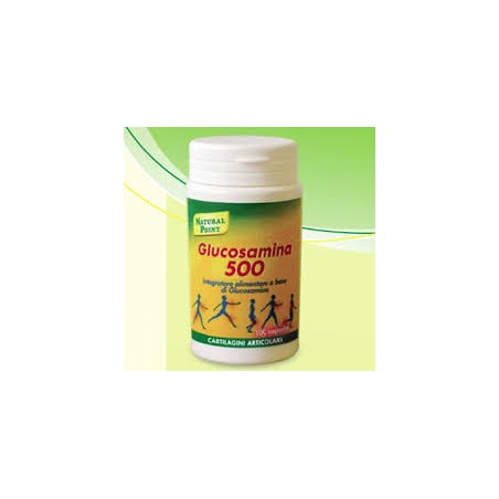 Glucosamina 500 100 Capsule