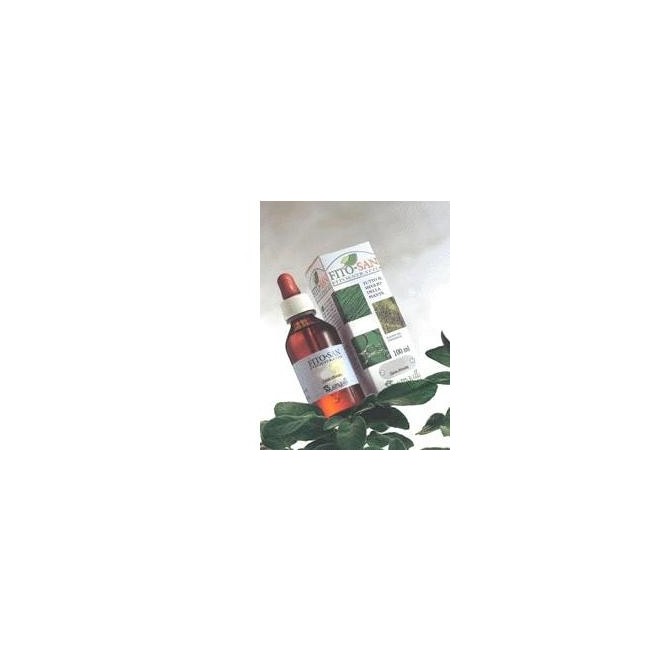 Agnocasto Frutti 100 Ml Tintura Madre