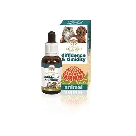 Australian Bush Flower Diffidence Timidity 30ml