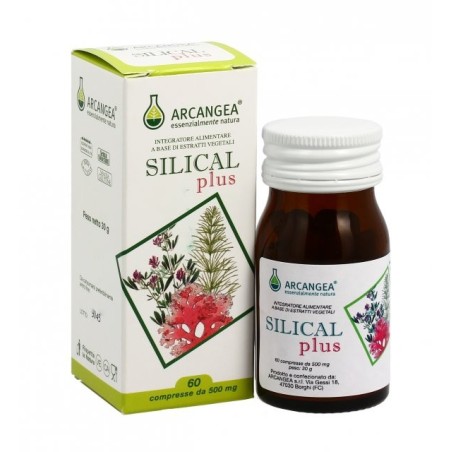 Arcangea Silical 80 Compresse