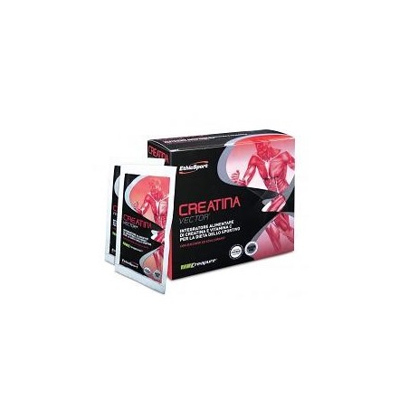 Creatina vector 20 bustine 