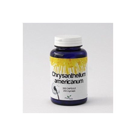 Phytoitalia chrysantellum americanum 60 capsule