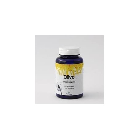 Phytoitalia olivo 60 capsule integratore alimentare CAPSULE