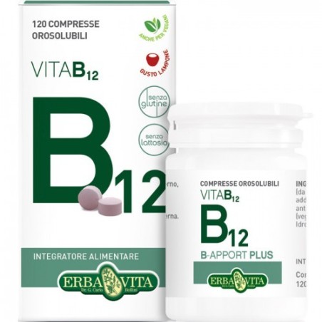 Erba vita B-apport plus integratore alimentare 45 capsule