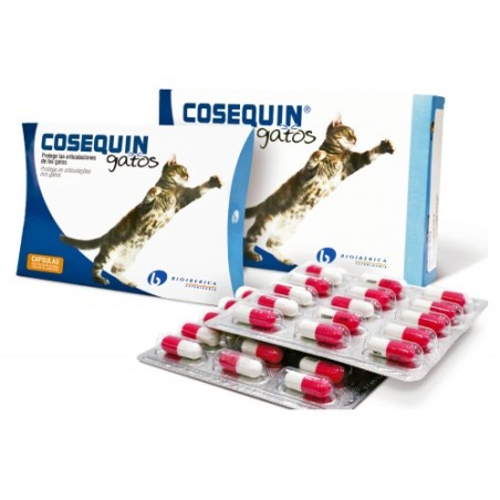 Nutramax Cosequin gatti 15 capsule mangime complementare