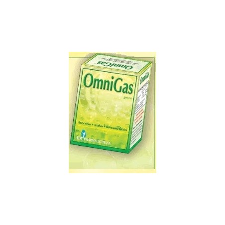 Omnigas Plus Gocce 20ml