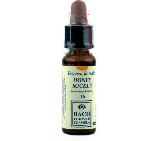 Erba vita Honeysuckle original 10ml gocce di fiori di bach