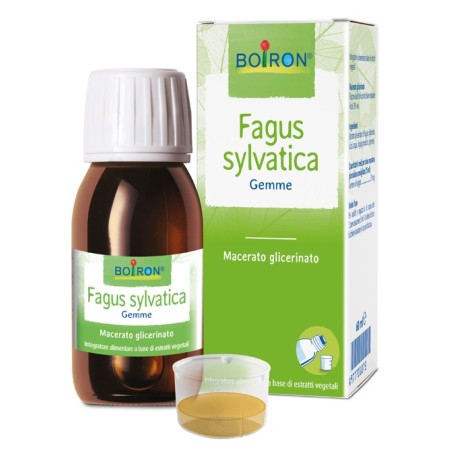 Boiron Fagus Sylvatica Gemme 60ml Macerato Glicerico