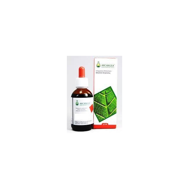 Arcangea Schisandra soluzione idroalcolica gocce 50ml