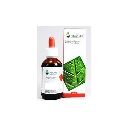 Arcangea Schisandra soluzione idroalcolica gocce 50ml