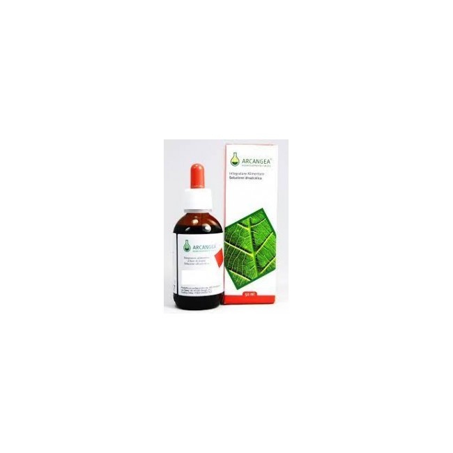 Arcangea Aesculus Hyppocastanum gemmoderivato gocce 50ml