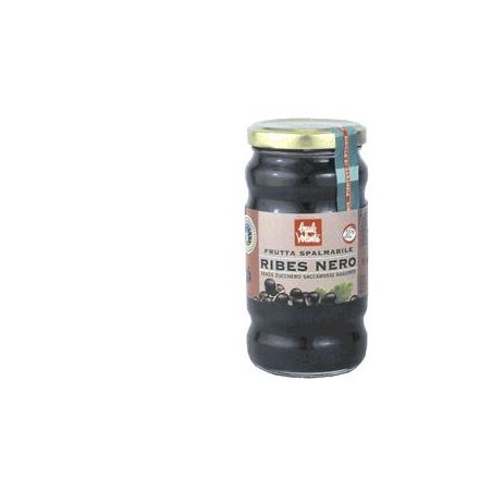 Baule Volante Frutta spalmabile ribes nero 280 g