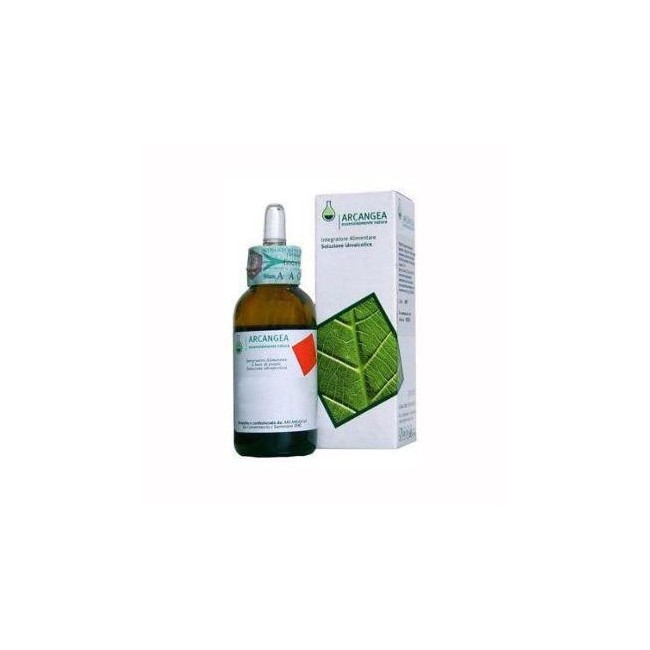 Arcangea Abies pectinata bio 33 gradi 50 ml gemmoderivati