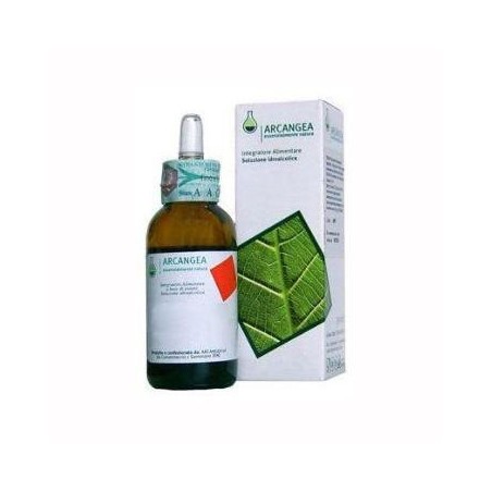 Arcangea Abies pectinata bio 33 gradi 50 ml gemmoderivati