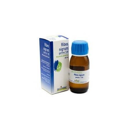 Boiron Ribes Nigrum Macerato Glicerico 60ml